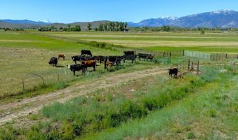Pinenut Road, Gardnerville, NV 89410