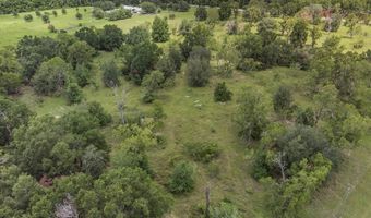 TBD 10th St, Bell, FL 32619