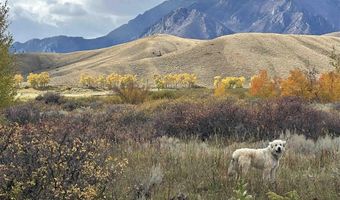 409 Tolman Rd, Clark, WY 82435