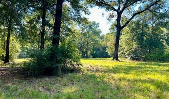 8645 Moores Mill Creek Rd, Baker, FL 32531