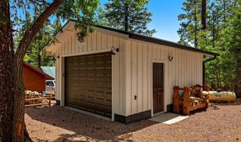 26 County Road 2067, Alpine, AZ 85920