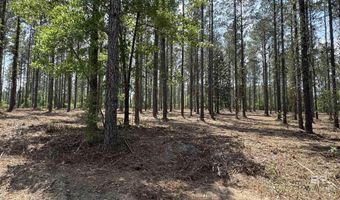 Ronald Sanks Road, Bay Minette, AL 36507