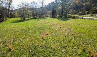 47691 E Captina Highway Rd, Alledonia, OH 43902
