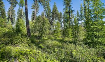 198 Trading Post Trl, Bigfork, MT 59911