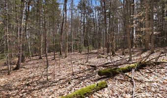 Puckerbrush Road, Campton, NH 03223