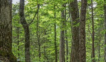 0 Cornerstone Pkwy, Allons, TN 38570