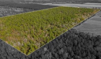 N bob brooks road, Baker, FL 32531