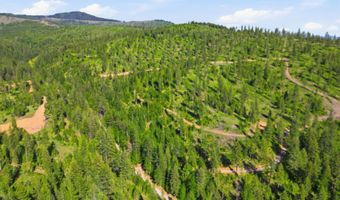 NNA Stone Rd Lot 2 20.0 Acres, Blanchard, ID 83804
