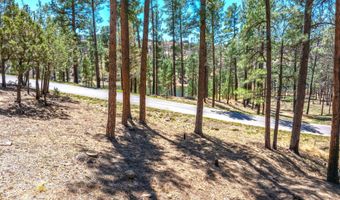 223 Lake Shore Dr Lot 1, Alto, NM 88312