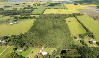 Jolene Road, Basile, LA 70515