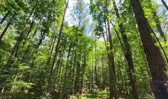 Tbd NE Bahalia Road, Brookhaven, MS 39601