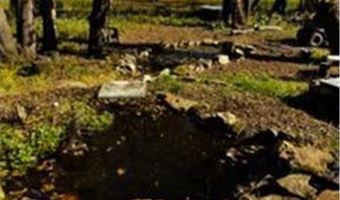 15800 33rd St S, Afton, MN 55001