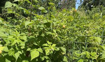 2447 Turner Hill Rd, Bonners Ferry, ID 83805