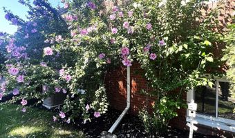 15217 Keppen, Allen Park, MI 48101