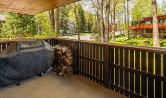 400 W Hopkins Ave 5, Aspen, CO 81611