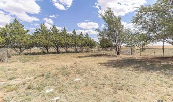 1157 State Road 275 Rd, Broadview, NM 88120