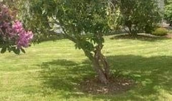491 H St, Arcata, CA 95521