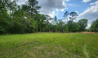 4611 NW 244TH Ave, Alachua, FL 32615