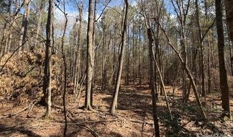 12 68 Acre 99 Rd, Blair, SC 29015