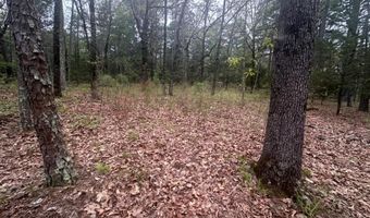 UNIT # 263B KIAMICHI WILDERNESS RD Unit # 63 63, Antlers, OK 74523