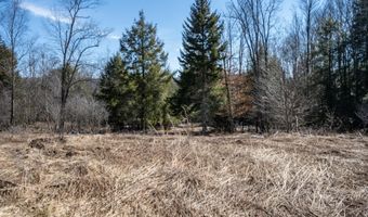 7985 ROCK LODGE Rd, Accident, MD 21520