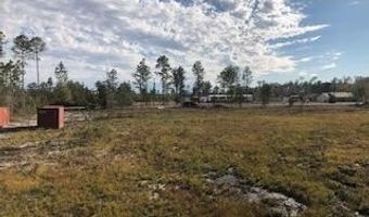 22563 NW Lake Mckenzie Blvd, Altha, FL 32421