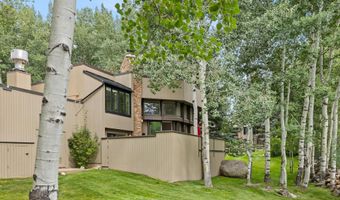 1443 Crystal Lake Rd 3E, Aspen, CO 81611
