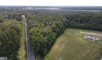 766 Ac. Tract 3 SHORTLY Rd, Georgetown, DE 19947