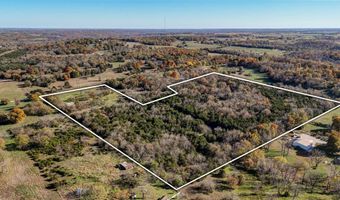 8065 N Farm Road 43, Ash Grove, MO 65604