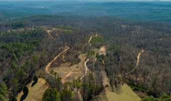 170 Sperin Cabinet Rd, Ball Ground, GA 30107