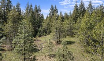 Nna Grizzly Meadows Ct Lt 5, Athol, ID 83801