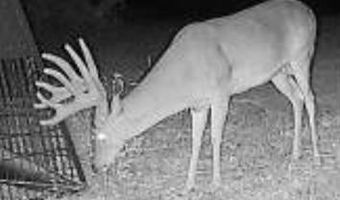 240 Magnolia, Bennington, OK 74723