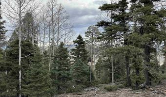 Lots 16 Lot17 Palo Flechado Ridge Road, Angel Fire, NM 87710