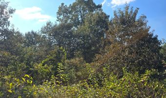 N80 Helt Rd, Antlers, OK 74525