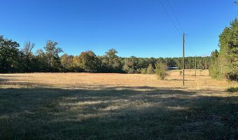 Clara Foote Road, Braxton, MS 39044