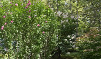 258 Wells Rd, Becket, MA 01223