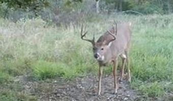 652 Nd St, Albia, IA 52531