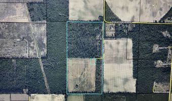 6345 Bullfrog, Bascom, FL 32423