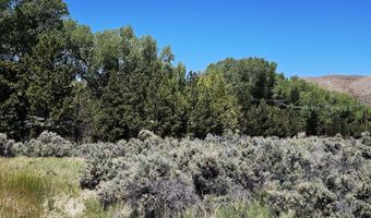 310 Mark Way, Carson City, NV 89706