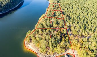 LOT 1 ROCK RIDGE SUBDIVISION, Arley, AL 35541