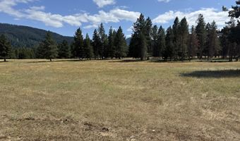 Nka Bunco Lot 2, Athol, ID 83801
