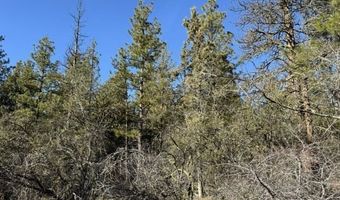 Badger Lane, Bonanza, OR 97623