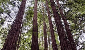 645 Skyward Dr, Aptos, CA 95003