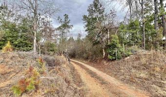 21000 Block Highway 21, Beatrice, AL 36425