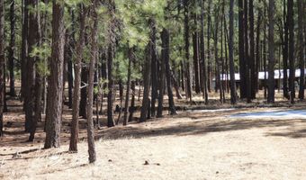 8 B County Road 2267 Escudilla Rd, Alpine, AZ 85920