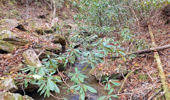 135 49ac Webb Creek Rd, Andrews, NC 28901