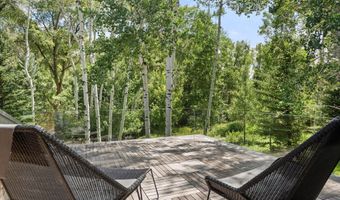 1180 Black Birch Dr, Aspen, CO 81611