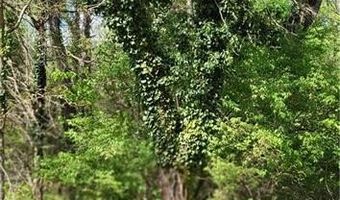 1642 R2 Kersey Valley Rd, Archdale, NC 27265