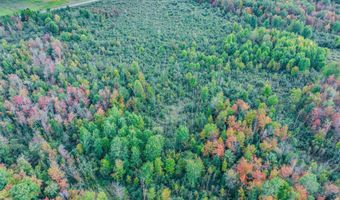 V/L S M-33, Alger, MI 48610