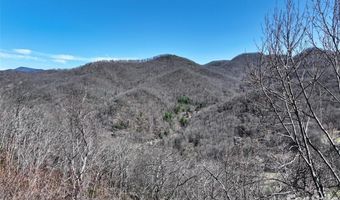 11 Taryn Trce 16, Barnardsville, NC 28709
